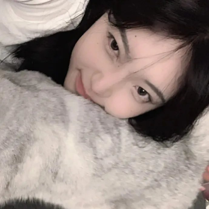 灰鸽子之歌